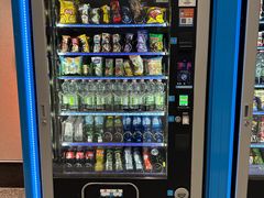 -米兰马尔彭萨国际机场