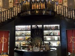 -雪灵魔法世界SHELLY’S TAROT(大良桂畔里店)