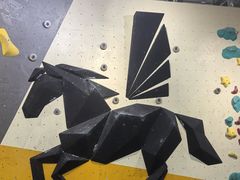 -香蕉攀岩(上地店)
