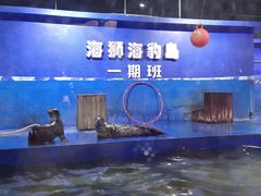 -重庆欢乐海底世界
