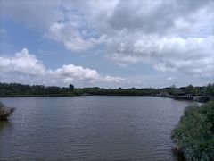 -塘沽森林公园