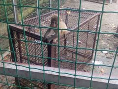 -昆嵛山石门里景区
