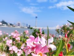 -芒洲湿地公园