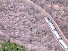 -居庸关长城