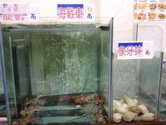 -旅南活海鲜-屏东(墾丁海鮮，海鮮餐廳，墾丁團體合菜，平價熱炒，墾丁熱炒店，活海鮮推薦，在地海鮮餐廳)