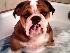 -沐泷泉(南风大剧院店)