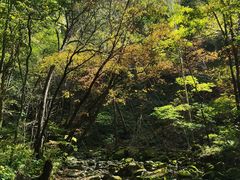 -关门山森林公园