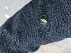 -南京维景国际大酒店(南京博物院店)