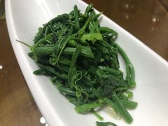 凉拌丝瓜苗-丹江渔村(望京店)