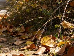 -西安市长乐公园