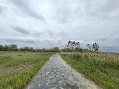 -盐城丹顶鹤湿地生态旅游区