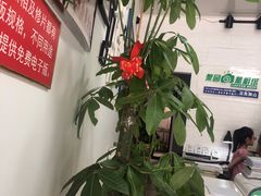 -梨园照相馆·签证照·身份证护照回执采集拍摄网点(北京店)