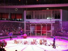 -西安秦岭野生动物园