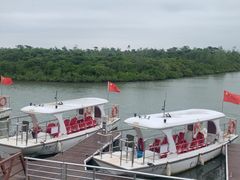 -东寨港红树林旅游区