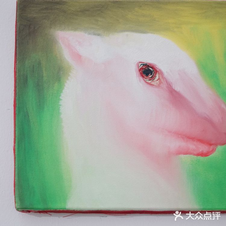 去南京最美的建筑群里看羊驼🦙