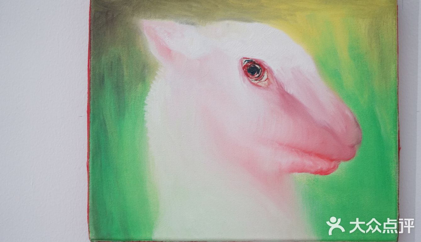 去南京最美的建筑群里看羊驼🦙
