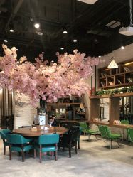 -简影造型·自选烫染接发salon