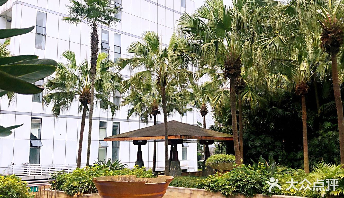 落地的杏花 妙龄的梨花