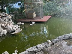 -宣武艺园