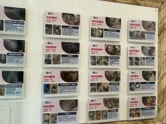 -宠颐生汉谟拉比宠物医院