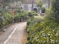 -镇江市南山风景名胜区竹林景区