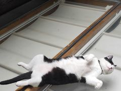 -猫的天空之城概念书店(杭州南宋御街店)