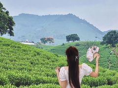 -帐篷客·溪龙茶谷度假酒店