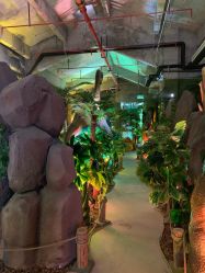 -恐龙探索乐园(磁器口店)