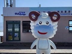 -茶卡盐湖