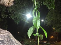 -唐人街(耀华力路)