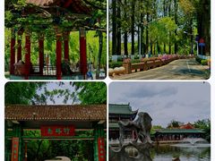 -翠湖公园