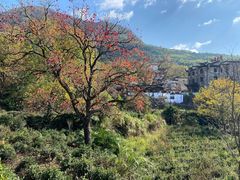 -塔川景区