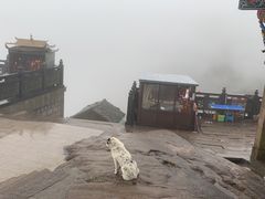 -九华山风景区