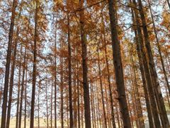 -南京金牛湖风景区