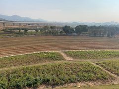 -光明小镇欢乐田园