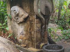 -呀诺达热带雨林