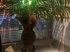 -涟LIAN·泰式按摩·MASSAGE·SPA(华强北店)