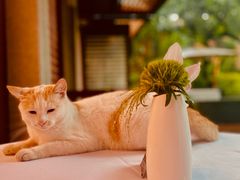 -Circle圆·花园西餐厅