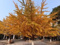 -辽宁大学(崇山校区)