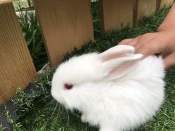 -萌宠亲子动物乐园(槐房万达店)