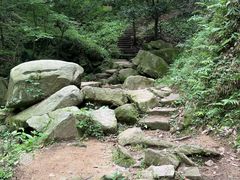 -波尔登森林公园