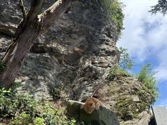 -武当山风景区-太子坡