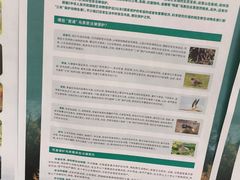 -兰岛广场(白沙路店)