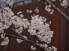 -龙美术馆(西岸馆)