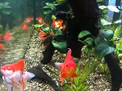 -大家乐(广州荔湾领展广场店)