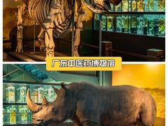 -广东中医药博物馆
