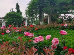 -郑州植物园