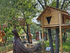 -北京西山国家森林公园