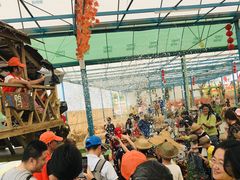 -麻涌飞鸭开心农场