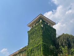 -府河摄影公园